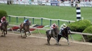 Preakness Stakes