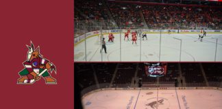 Arizona Coyotes