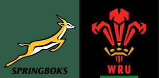 South Africa vs Wales Rugby