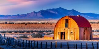 New Mexico