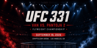 UFC 311